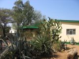 Thumbnail zu img_2172.jpg (�ffnet neues Fenster)