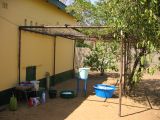 Thumbnail zu img_2178.jpg (�ffnet neues Fenster)