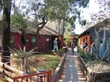Thumbnail zu img_2338.jpg (�ffnet neues Fenster)