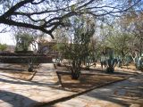 Thumbnail zu img_2368.jpg (�ffnet neues Fenster)