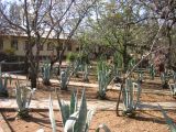 Thumbnail zu img_2374.jpg (�ffnet neues Fenster)