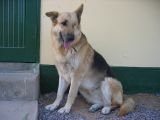 Thumbnail zu img_2403.jpg (�ffnet neues Fenster)