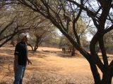 Thumbnail zu img_2432.jpg (�ffnet neues Fenster)
