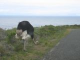Thumbnail zu img_2498.jpg (�ffnet neues Fenster)
