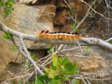 Thumbnail zu img_2529.jpg (�ffnet neues Fenster)