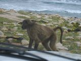 Thumbnail zu img_2547.jpg (�ffnet neues Fenster)