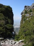 Thumbnail zu img_2614.jpg (�ffnet neues Fenster)