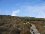 Thumbnail zu img_2617.jpg (�ffnet neues Fenster)