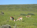 Thumbnail zu img_2677.jpg (�ffnet neues Fenster)