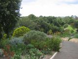 Thumbnail zu img_2698.jpg (�ffnet neues Fenster)