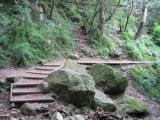 Thumbnail zu img_2703.jpg (�ffnet neues Fenster)