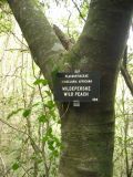 Thumbnail zu img_2708.jpg (�ffnet neues Fenster)