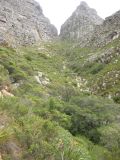 Thumbnail zu img_2720.jpg (�ffnet neues Fenster)