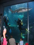Thumbnail zu img_2901.jpg (�ffnet neues Fenster)