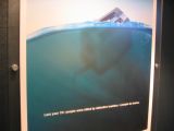 Thumbnail zu img_2905.jpg (�ffnet neues Fenster)