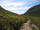 Thumbnail zu img_2928.jpg (�ffnet neues Fenster)