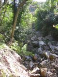 Thumbnail zu img_2939.jpg (�ffnet neues Fenster)