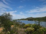 Thumbnail zu img_2978.jpg (�ffnet neues Fenster)