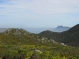Thumbnail zu img_2981.jpg (�ffnet neues Fenster)
