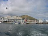 Thumbnail zu img_3041.jpg (�ffnet neues Fenster)