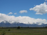 Thumbnail zu img_0713.jpg (�ffnet neues Fenster)
