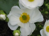 Thumbnail zu img_0842.jpg (�ffnet neues Fenster)