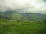 Thumbnail zu img_0998.jpg (�ffnet neues Fenster)
