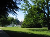 Thumbnail zu img_1116.jpg (�ffnet neues Fenster)
