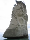 Thumbnail zu img_1344.jpg (�ffnet neues Fenster)