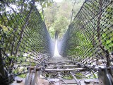 Thumbnail zu img_1397.jpg (�ffnet neues Fenster)