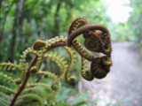 Thumbnail zu img_1403.jpg (�ffnet neues Fenster)