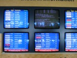 Thumbnail zu img_1652.jpg (�ffnet neues Fenster)